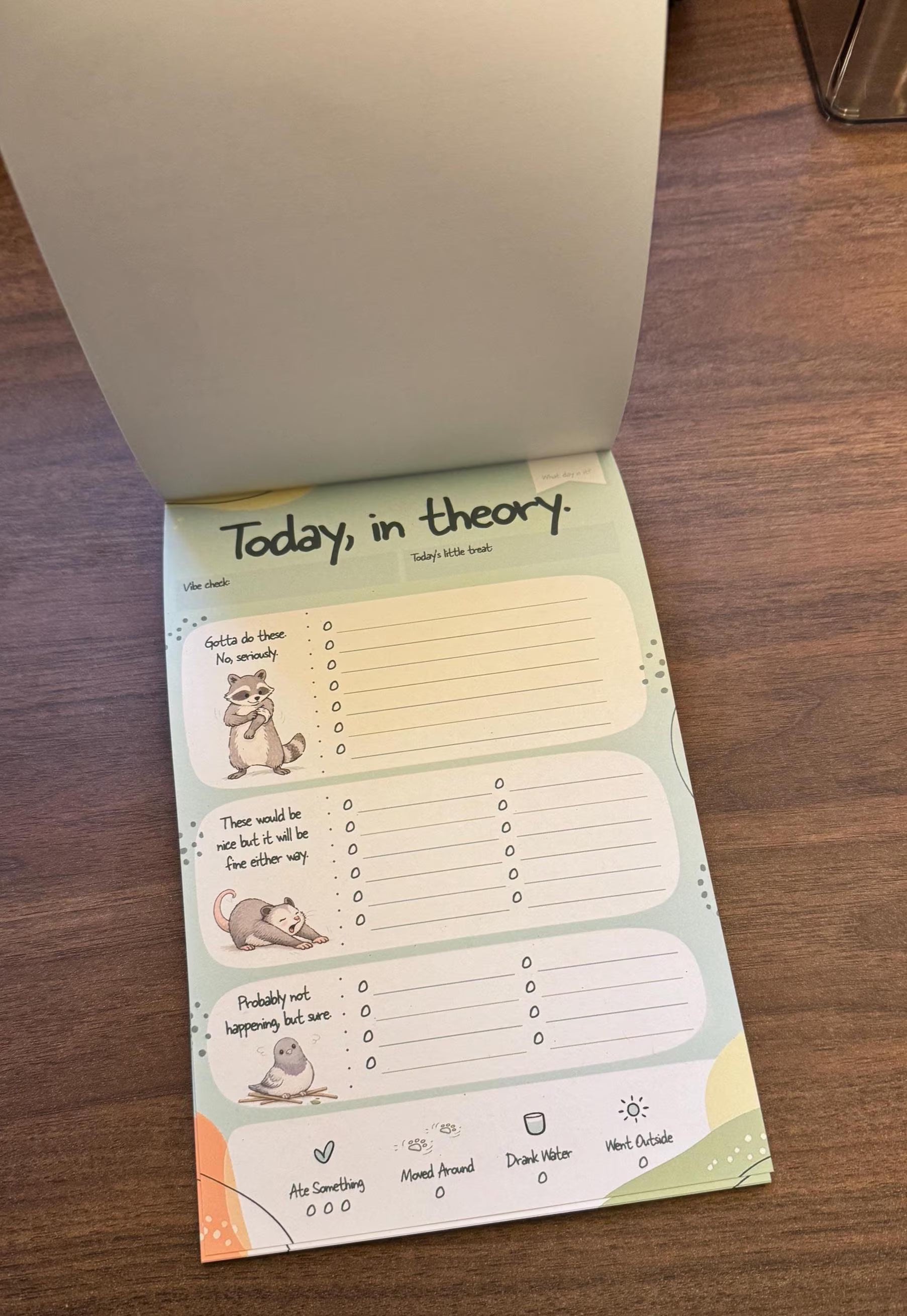 Today, In Theory Daily Planner Notepad | ADHD-Friendly Low-Pressure Productivity Pad