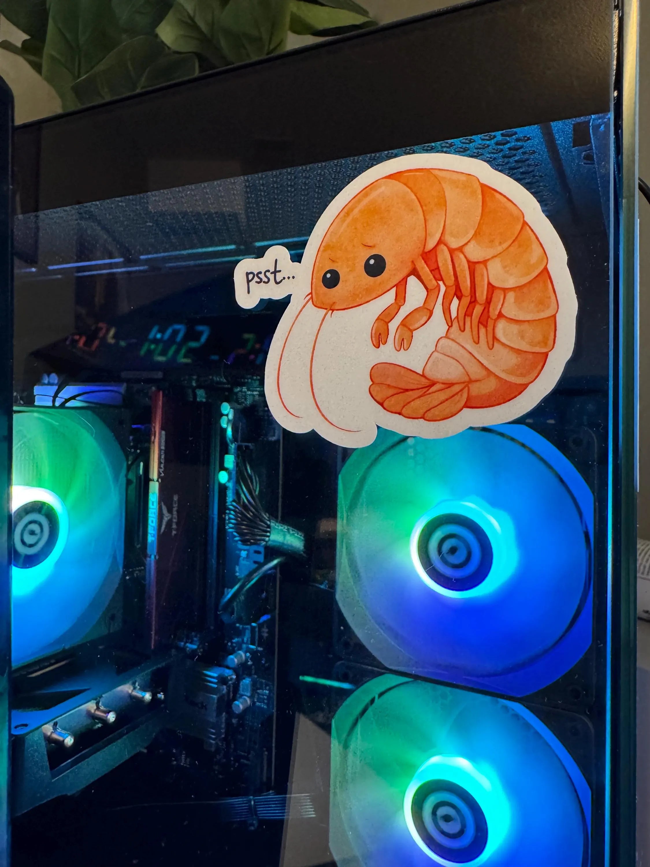 Unshrimp Yourself Sticker | Cute Posture Reminder Vinyl Decal