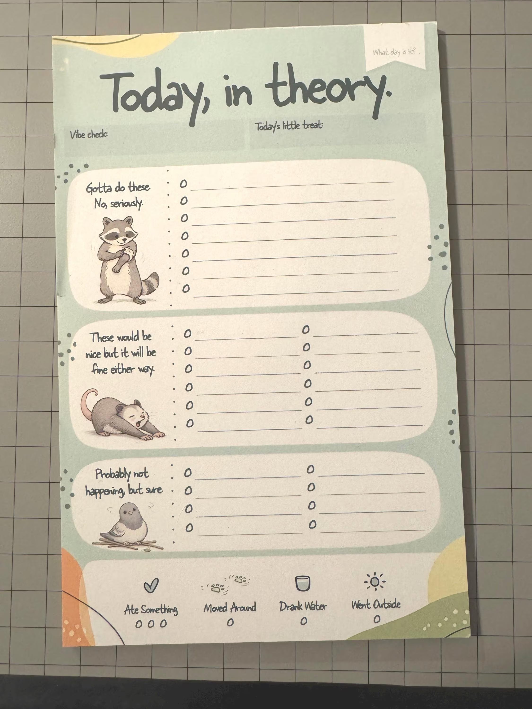 Today, In Theory Daily Planner Notepad | ADHD-Friendly Low-Pressure Productivity Pad